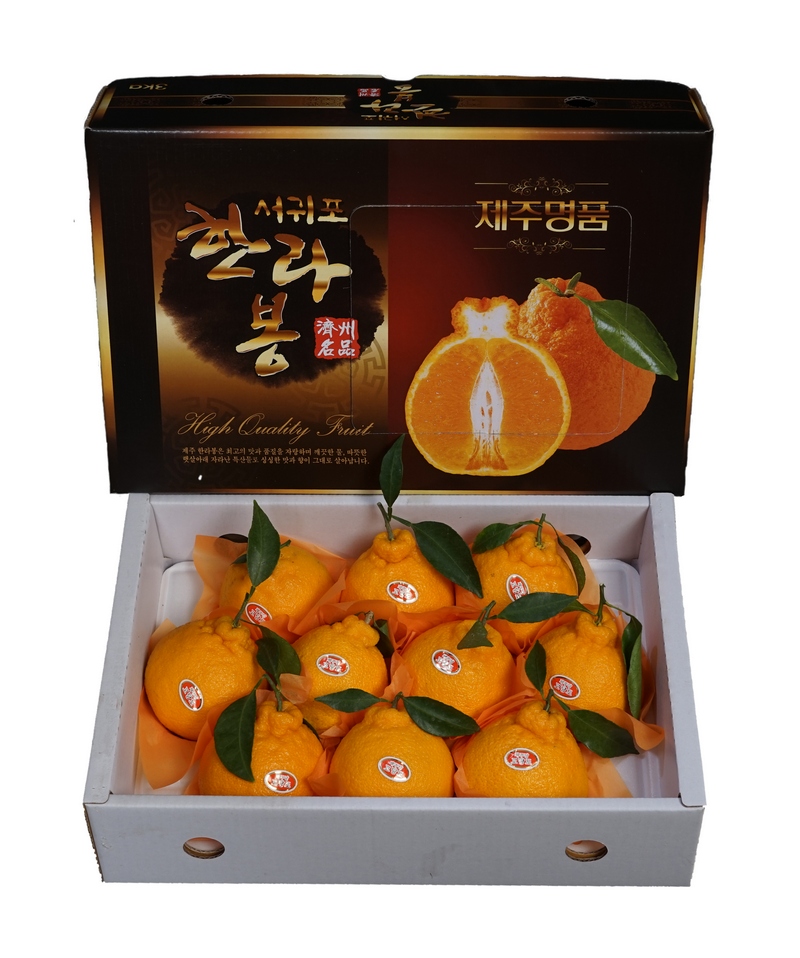 Ѷ 3kg (10~13)